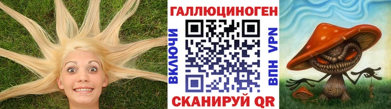 Псилоцибиновые грибы Magic Shrooms  Купить  Новомичуринск 